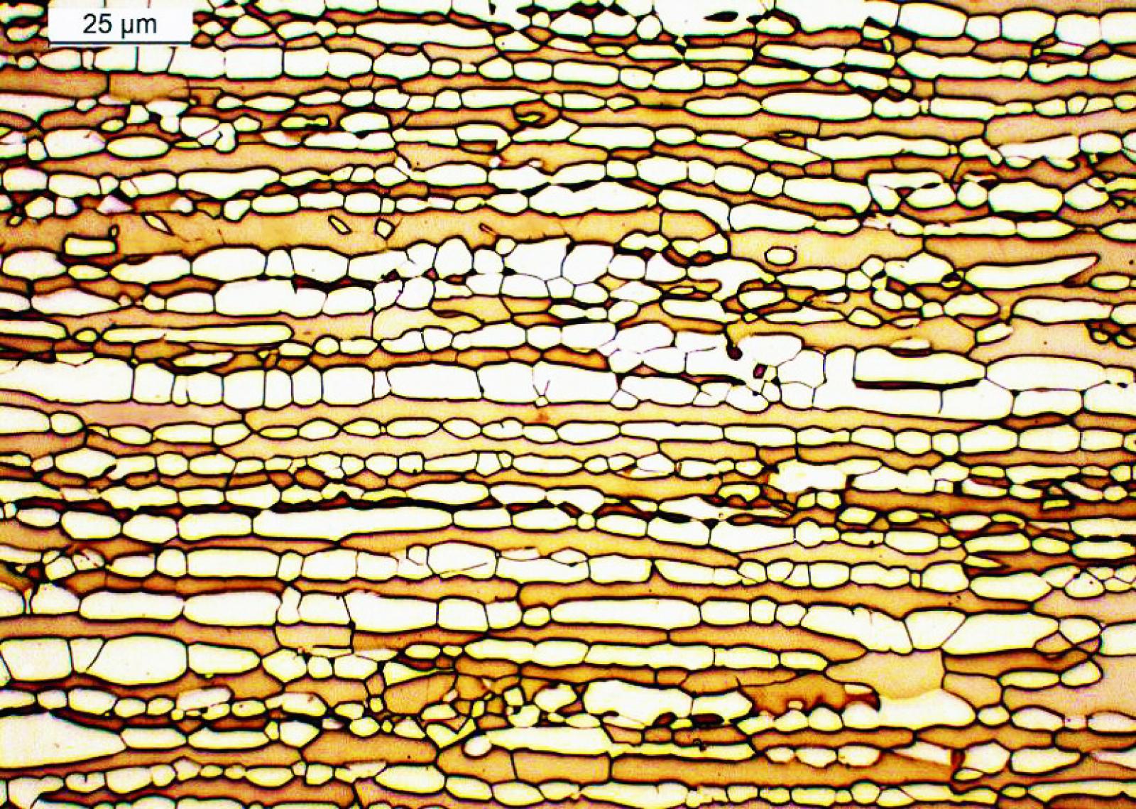 Duplex Steel Microstructure
