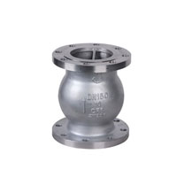 Duplex Steel Alloy 2304 Valves